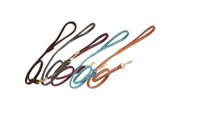 Image showing  Rolled Leather Dog Lead