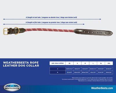 Image showing 1 th WeatherBeeta Rope Leather Dog Collar