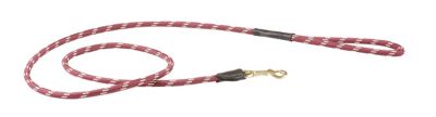 WeatherBeeta Rope Leather Dog Lead