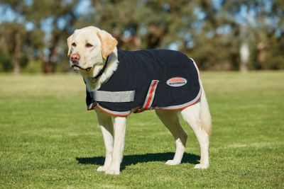 Weatherbeeta 2025 dog fleece