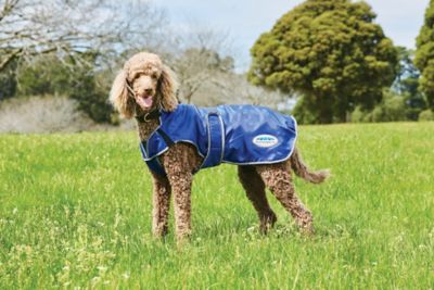 WeatherBeeta ComFiTec Windbreaker Free Deluxe Dog Coat