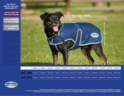 Image showing  ComFiTec Windbreaker Free Deluxe Dog Coat