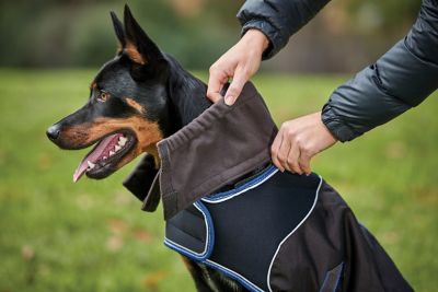 Image showing  ComFiTec Ultra Cozi Dog Coat