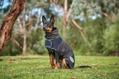 Image showing  ComFiTec Ultra Cozi Dog Coat