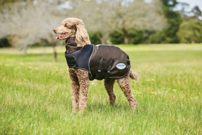 WeatherBeeta ComFiTec Ultra Cozi Dog Coat