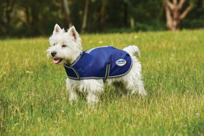 WeatherBeeta ComFiTec Premier Free Parka Dog Coat