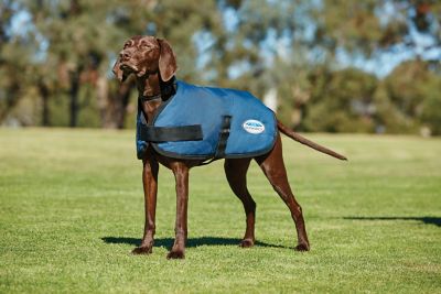 Image showing  ComFiTec Classic Dog Coat