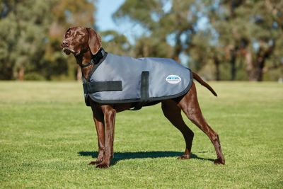 WeatherBeeta ComFiTec Classic Dog Coat