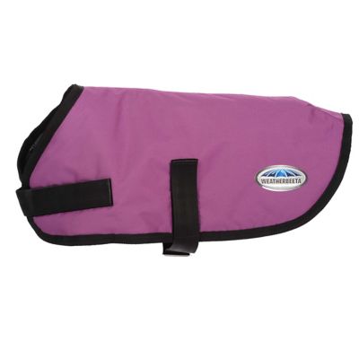 Image showing  ComFiTec Classic Dog Coat