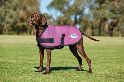 Weatherbeeta Comfitec Fleece Zip Dog Coat 