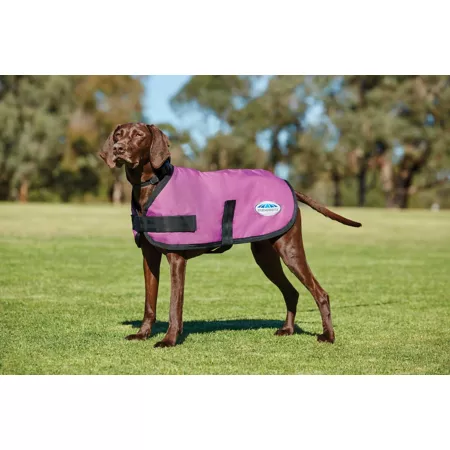 WeatherBeeta ComFiTec Classic Dog Coat Dog Coats & Jackets