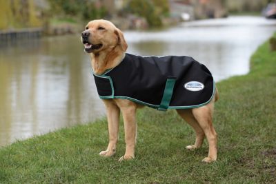 WeatherBeeta Green-Tec 900D Dog Coat, Lite Plus