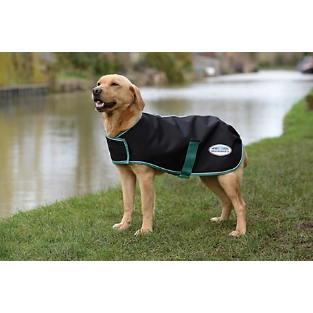 WeatherBeeta Green-Tec 900D Dog Coat, Lite Plus