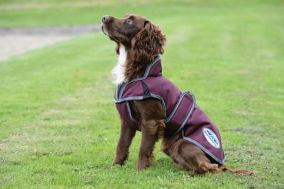 Weatherbeeta Comfitec Premier Free Parka Hundemantel - Dunkelblau/Grau/Weiß | Wasserdicht & Atmungsaktiv