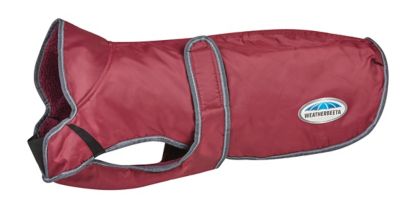 Image showing 2 th WeatherBeeta ComFiTec Windbreaker Free Deluxe Dog Coat