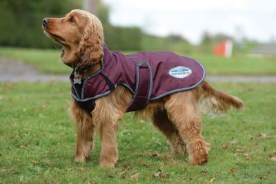 WeatherBeeta ComFiTec Windbreaker Free Deluxe Dog Coat