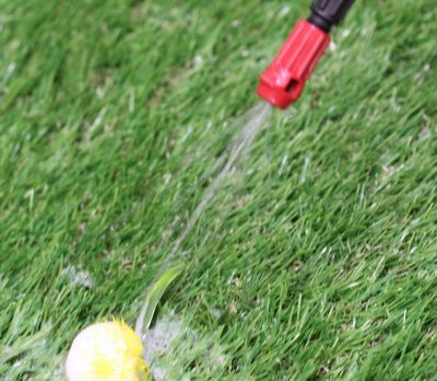 Image showing  20541: 1-gallon Lawn & Garden Poly Tank Sprayer with Foaming Nozzle