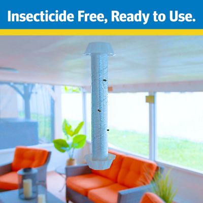 Image showing  XL Fly Stick Trap