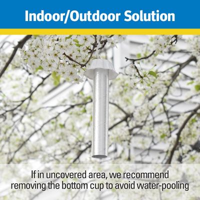 Image showing  XL Fly Stick Trap