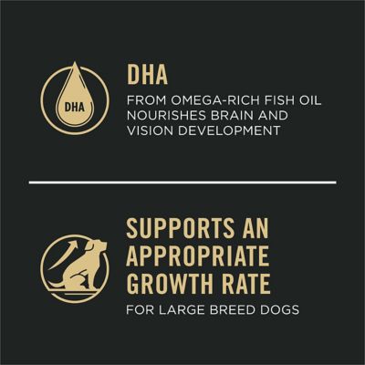 Image showing 5 th Purina Pro Plan Large Breed Puppy Sensitive Skin and Stomach Salmon and Rice Formula Dry Dog Food with Probiotics