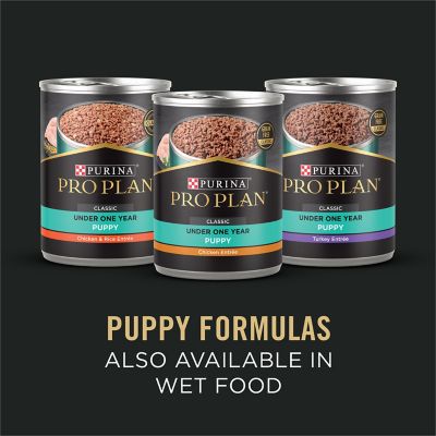 Image showing 8 th Purina Pro Plan Large Breed Puppy Sensitive Skin and Stomach Salmon and Rice Formula Dry Dog Food with Probiotics