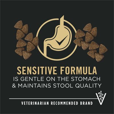 Image showing  Adult Sensitive Skin and Stomach Turkey and Oatmeal Formula Dry Dog Food with Probiotics
