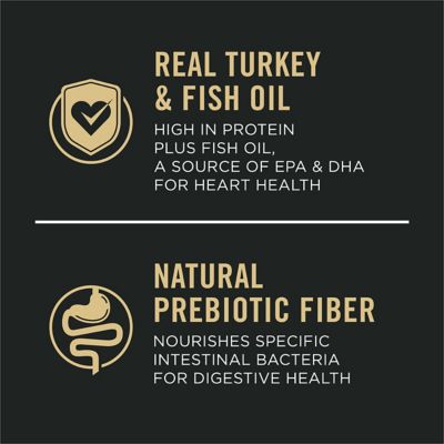 Image showing  Adult Sensitive Skin and Stomach Turkey and Oatmeal Formula Dry Dog Food with Probiotics