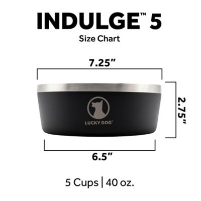 Image showing  Double Wall Non Slip Stainless Steel Dog Bowl, 5 Cups, 1-Pack