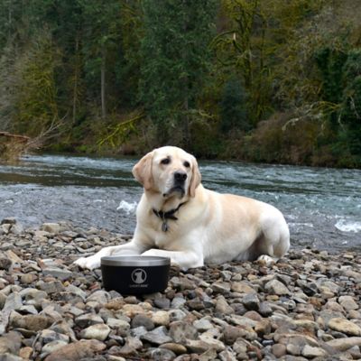 Image showing  Double Wall Non Slip Stainless Steel Dog Bowl, 5 Cups, 1-Pack