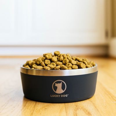 Image showing 5 th Lucky Dog Double Wall Non Slip Stainless Steel Dog Bowl, 5 Cups, 1-Pack