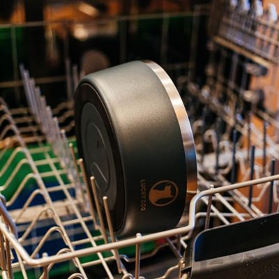 Image showing 6 th Lucky Dog Double Wall Non Slip Stainless Steel Dog Bowl, 5 Cups, 1-Pack