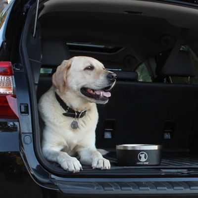 Image showing 8 th Lucky Dog Double Wall Non Slip Stainless Steel Dog Bowl, 5 Cups, 1-Pack