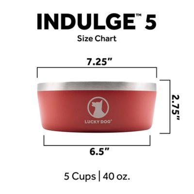 Image showing  Double Wall Non Slip Stainless Steel Dog Bowl, 5 Cups, 1-Pack