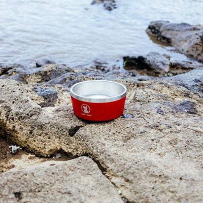 Image showing  Double Wall Non Slip Stainless Steel Dog Bowl, 5 Cups, 1-Pack