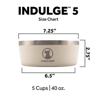 Image showing  Double Wall Non Slip Stainless Steel Dog Bowl, 5 Cups, 1-Pack