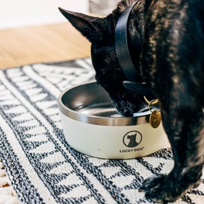 Image showing  Double Wall Non Slip Stainless Steel Dog Bowl, 5 Cups, 1-Pack