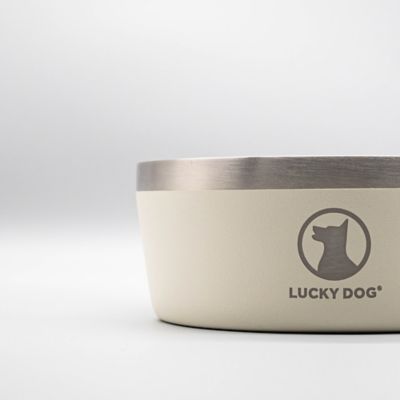 Image showing 5 th Lucky Dog Double Wall Non Slip Stainless Steel Dog Bowl, 5 Cups, 1-Pack
