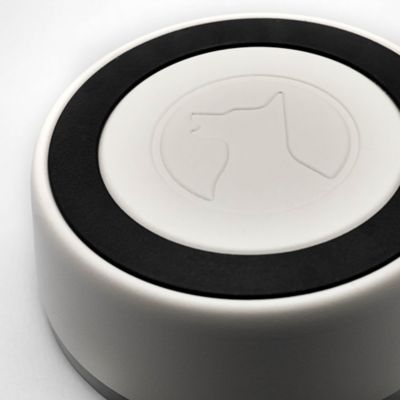 Image showing 6 th Lucky Dog Double Wall Non Slip Stainless Steel Dog Bowl, 5 Cups, 1-Pack