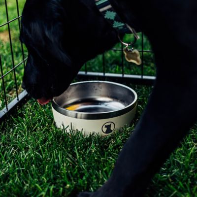 Image showing 7 th Lucky Dog Double Wall Non Slip Stainless Steel Dog Bowl, 5 Cups, 1-Pack