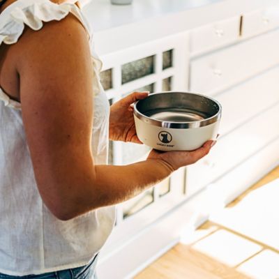 Image showing 8 th Lucky Dog Double Wall Non Slip Stainless Steel Dog Bowl, 5 Cups, 1-Pack