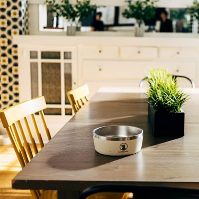 Image showing 9 th Lucky Dog Double Wall Non Slip Stainless Steel Dog Bowl, 5 Cups, 1-Pack