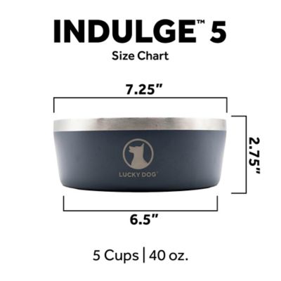 Image showing  Double Wall Non Slip Stainless Steel Dog Bowl, 5 Cups, 1-Pack