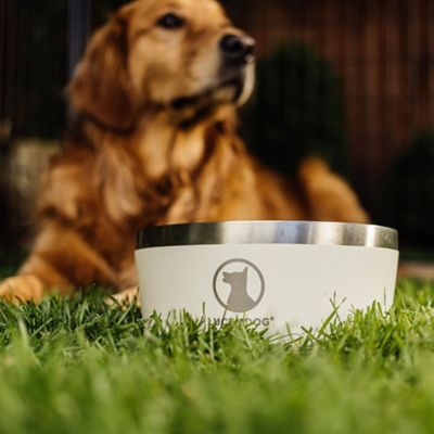 Image showing  Double Wall Non Slip Stainless Steel Dog Bowl, 8 Cups, 1-Pack
