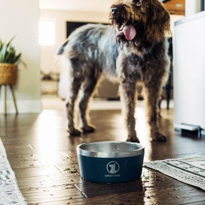 Image showing  Double Wall Non Slip Stainless Steel Dog Bowl, 8 Cups, 1-Pack