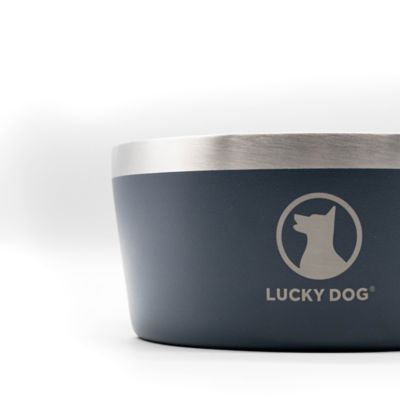 Image showing 5 th Lucky Dog Double Wall Non Slip Stainless Steel Dog Bowl, 8 Cups, 1-Pack
