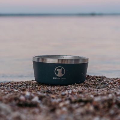 Image showing 8 th Lucky Dog Double Wall Non Slip Stainless Steel Dog Bowl, 8 Cups, 1-Pack