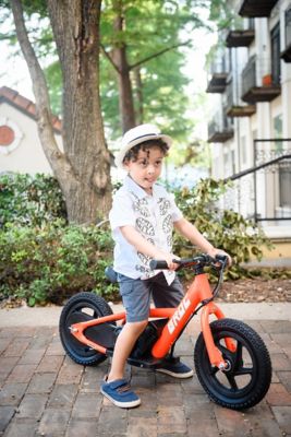 Image showing  12V Unisex 11.5 in. E-Bike, 2 Speed, Red