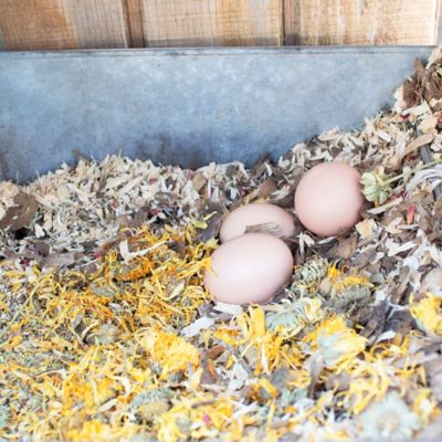 Image showing  Scent of Spring Nesting Herbs for Pet Chickens, 20 oz.