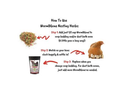 Image showing  WormBGone Nesting and Chicken Coop Herbs for Pet Chickens, 20 oz.