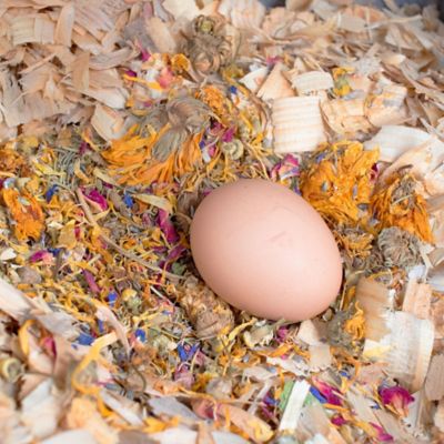 image of a Nesting Herbs